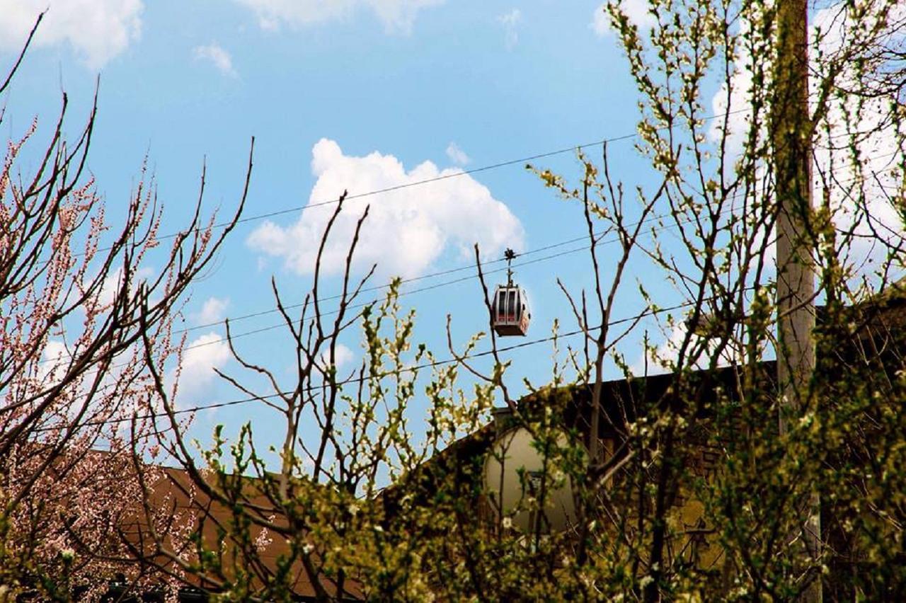 Appartamento Feel Old Tbilisi Esterno foto